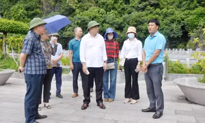 “Kiểm tra, xử lý nghiêm túc những phản hồi của du khách về chất lượng dịch vụ...”