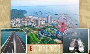 Cách mạng Tháng Tám - Ngọn lửa bất diệt ở Vùng mỏ