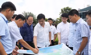 Chủ tịch UBND tỉnh Nguyễn Tường Văn kiểm tra tuyến Cao tốc Vân Đồn-Móng Cái      