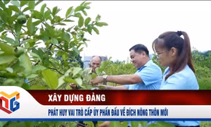 Phát huy vai trò cấp ủy phấn đấu về đích nông thôn mới