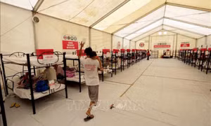 Philippines ghi nhận 319 ca tử vong do sốt xuất huyết