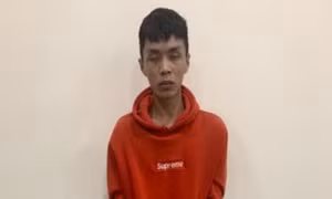 Bắt đối tượng lẻn lên gác xâm hại thiếu nữ bị say