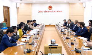 Chủ tịch UBND tỉnh làm việc với doanh nghiệp tìm hiểu cơ hội đầu tư lĩnh vực điện gió ngoài khơi