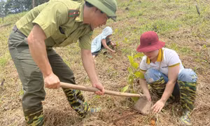 Khi quy chế dân chủ được phát huy