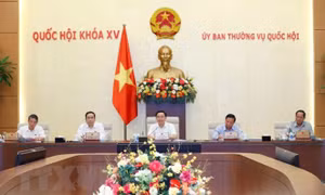 Tiếp thu, chỉnh lý các điểm quy định về hành vi bạo lực gia đình