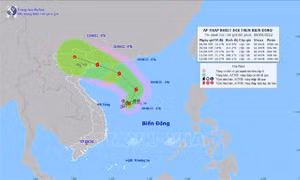 Chủ động ứng phó với áp thấp nhiệt đới có khả năng mạnh lên thành bão