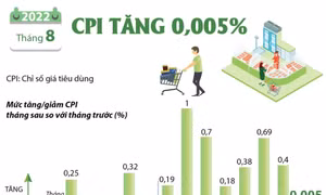 CPI tháng 8/2022 tăng nhẹ 