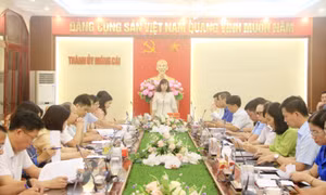 Thường trực Tỉnh ủy làm việc với Ban Thường vụ Thành ủy Móng Cái và Huyện ủy Hải Hà