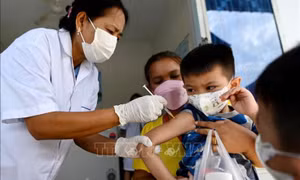 Biến thể phụ BA.4 và BA.5 của Omicron đang lây lan tại Campuchia
