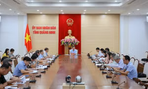 UBND tỉnh nghe báo cáo và cho ý kiến về tiến độ giải quyết kiến nghị cử tri