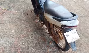 Hai bộ xương người phát hiện ở trong rừng là của nam giới