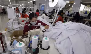 Số doanh nghiệp quay lại hoạt động lên mức cao nhất từ trước tới nay