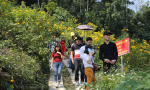 Dịp lễ Quốc khánh 2/9/2022 nghỉ 4 ngày liên tiếp nên đi đâu?