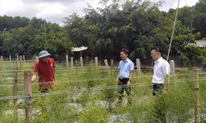Phát huy vai trò chủ thể của nông dân