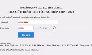 Bộ GD&ĐT lên tiếng vụ thí sinh bị điểm 0 vì ngủ quên trong giờ thi