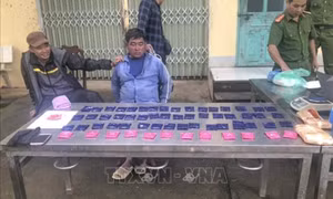 Bắt giữ đối tượng vận chuyển trái phép 12.000 viên ma túy tổng hợp