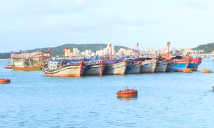 Thu hút đầu tư dịch vụ hậu cần nghề cá: Doanh nghiệp chưa mặn mà