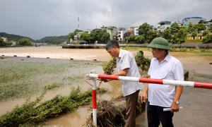 Chủ động ứng phó với thiên tai, bão lũ 