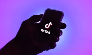 Trình duyệt trong TikTok có thể theo dõi nhất cử nhất động của người dùng?