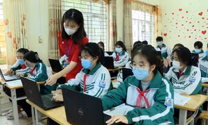 Vân Đồn: Ứng dụng CNTT trong quản lý, dạy học