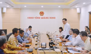Tập đoàn Semem Indonesia làm việc với tỉnh Quảng Ninh