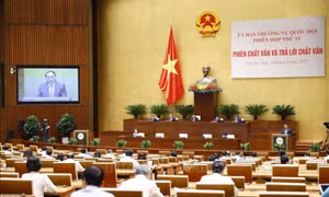 Làm mới sản phẩm du lịch, đáp ứng nhu cầu, thị hiếu của du khách
