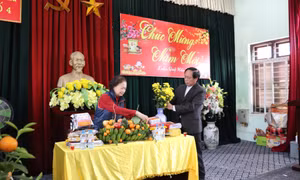 Trang hoàng Nhà văn hóa thôn, khu đón Xuân mới