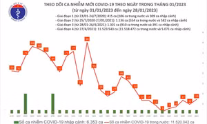Ngày 28/1: Số ca mắc COVID-19 mới cao nhất trong tuần