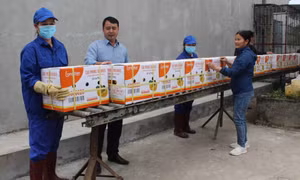 Cam Cao Phong lần đầu xuất ngoại trời Âu