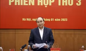 Chủ tịch nước chủ trì phiên họp thứ 3 Ban Chỉ đạo Cải cách Tư pháp Trung ương