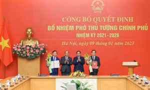 Phân công nhiệm vụ của các Phó Thủ tướng Chính phủ