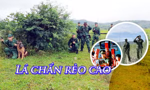Lá chắn rẻo cao 