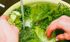 Cách rửa rau sống sạch và an toàn