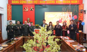 Đoàn đại biểu Quốc hội thăm, chúc Tết tại TP Hạ Long và Móng Cái