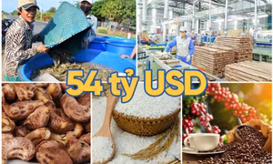 54 tỷ USD - là mục tiêu xuất khẩu nông lâm thuỷ sản năm 2023 của Việt Nam