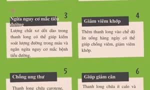 7 công dụng của trái thanh long với sức khỏe