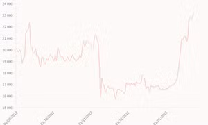 Giá Bitcoin lên cao nhất 6 tháng