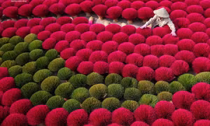 Làng hương hơn 100 năm tuổi rực rỡ sắc màu hút hồn du khách