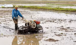 Sẵn sàng các điều kiện cho sản xuất vụ xuân