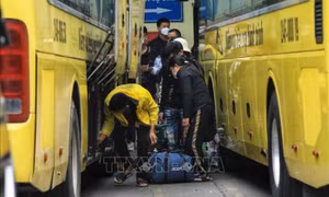 Đường dây nóng về bảo đảm trật tự, an toàn giao thông dịp Tết