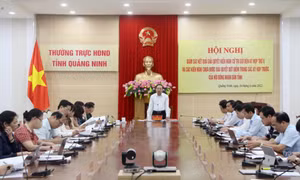 Nâng cao chất lượng giải quyết kiến nghị cử tri