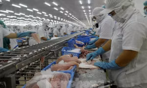 Mỹ, Trung Quốc 'soán ngôi' nhập khẩu thủy sản Việt Nam