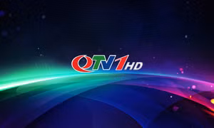 Mời tham gia gói thầu Tư vấn đấu thầu dự toán Phát sóng kênh QTV1 HD