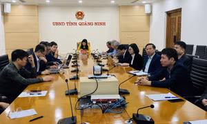 Hội nghị trực tuyến triển khai nhiệm vụ lao động, người có công và xã hội năm 2023
