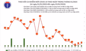 Mùng 4 Tết Quý Mão: Ca mắc COVID-19 tại Việt Nam tiếp tục tăng