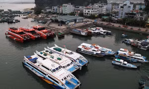 Đáp ứng nhu cầu đi lại của nhân dân 
