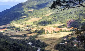 Bản người Dao trên dãy Phiêng Chè 
