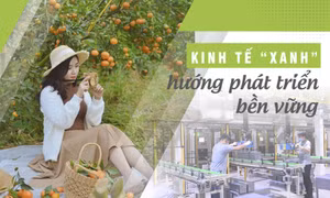 Kinh tế “xanh” - hướng phát triển bền vững
