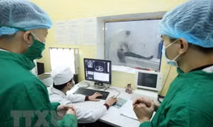 11 trường hợp tử vong do đánh nhau trong dịp nghỉ Tết Quý Mão