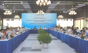 Đình Trà Cổ và Quần thể di tích Thương cảng Vân Đồn được lập hồ sơ xem xét, xếp hạng Di tích quốc gia đặc biệt